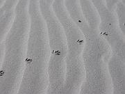 St. Augustine - Jan 2012 106